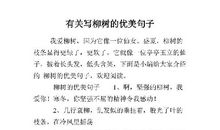 描写柳树的比喻句