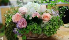 要表达我对亲情很感动的句子