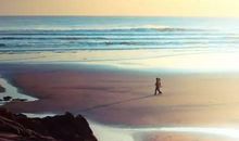 尽自己努力不后悔的句子