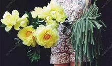 形容亲情冷漠句子