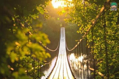 编辑编辑了几句话