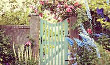 感悟人生的经典名句