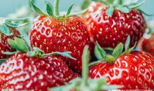 表达无私亲情的句子