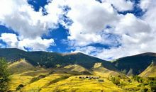 形容亲情比金钱重要的句子