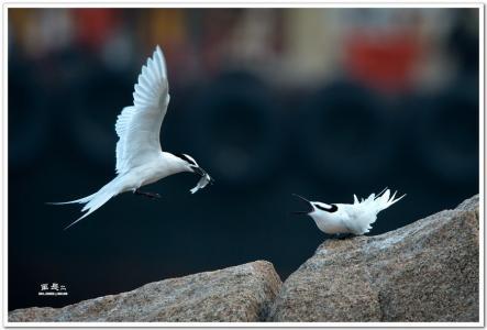 也珍藏父母的爱