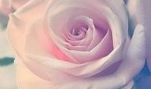 逗你开心很皮的句子