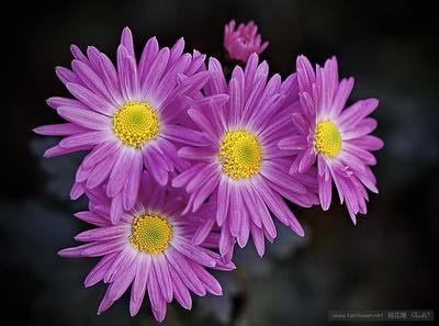 您可以在忙碌的一周后休息一下