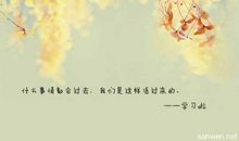 爱情的句子大全