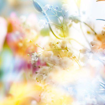 “ 5月1日”就在这里