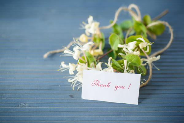 以下是小编为大家表达的感激之情