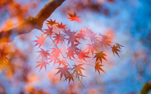 编辑整理了一些有关会议的句子总是很简短