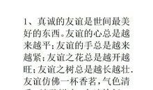 写友情的好词好句