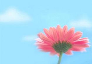 丈夫是妻子的抚养人