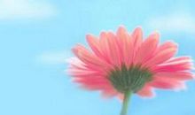 写给老公的励志一句话