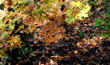 感悟人生很短的句子