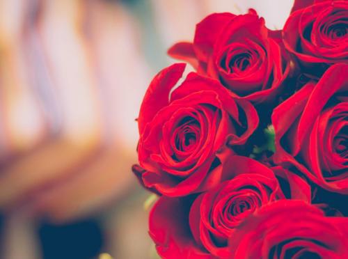 编辑编辑了一些句子