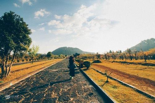您必须贡献出您的真诚的爱