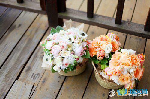 还有一片郁郁葱葱的花朵