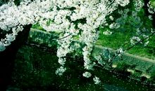 幸福的定义经典语句有哪些