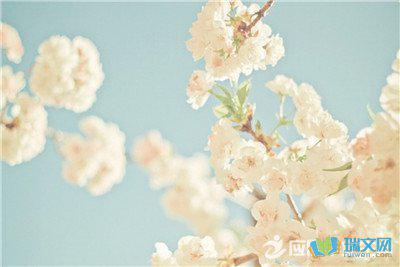 春天是鸟语轻柔的声音