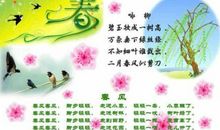 赞美春天的话