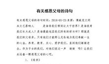 感恩父母优美的句子