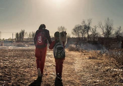 因为我们不愿意