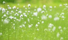 让老婆感到幸福的句子