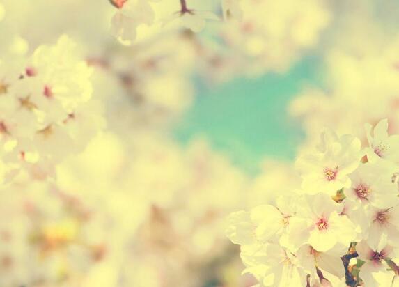 生活从未如此轻松