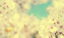 女生坚强到心疼的句子