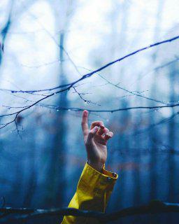 一旦他们失望了