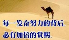 学习励志经典语录