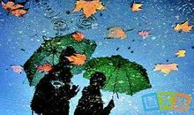 描写秋雨的诗词