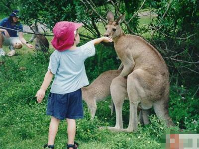 我记得当我第一次遇到我的丈夫时