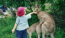 很搞笑的句子：这年头生米煮成爆米花都没用了