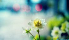 描写夏天中午的优美句子