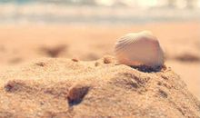 形容后悔决定的句子