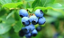 逗闺蜜开心的句子