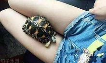 很有内涵的搞笑说说：明人不说暗话，我喜欢你的女朋友