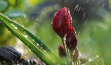 关于开心的词语句子有哪些