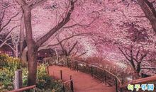 等到疫情结束的说说 疫情结束后的珍惜的话语