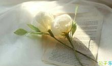 优美短句大全 美句简短优美句子