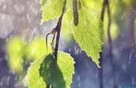 以下是我为无语和对未来感到失望的每个人编写的一句话