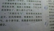 描写四季的好段50字