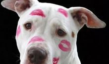 幽默搞笑的扩列词 QQ扩列介绍幽默版