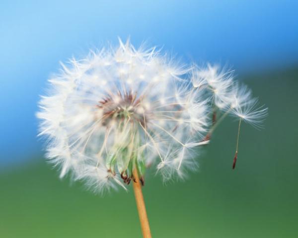 因为看不见的人嫁给您