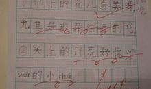 用什么像什么造句