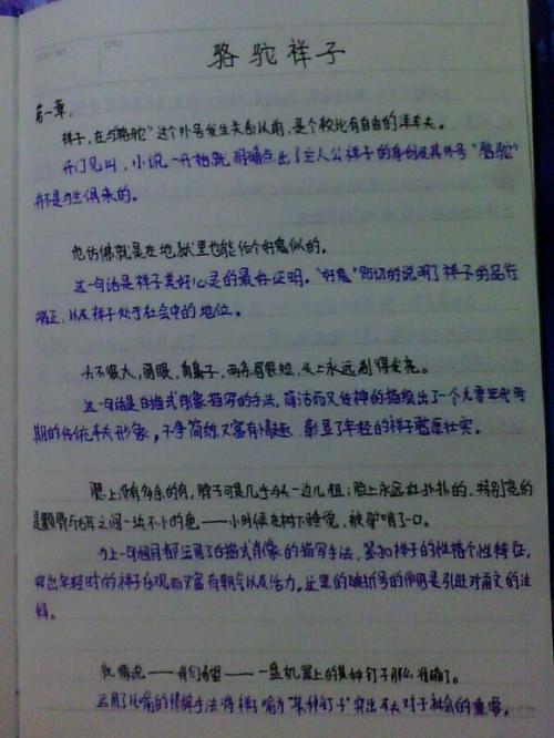   “鲁宾逊漂流”   1