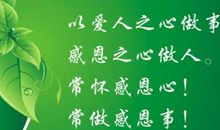 表达感谢他人的话语