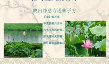 写出描写夏景的诗句